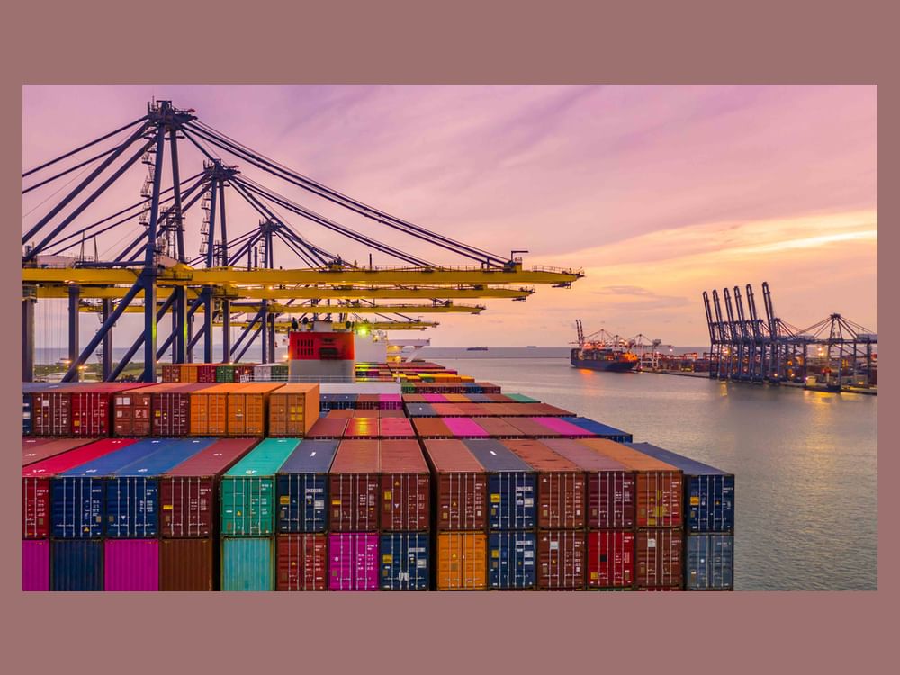 Dubai Maritime Authority introduces new administrative decision on transparency of local sea container charges