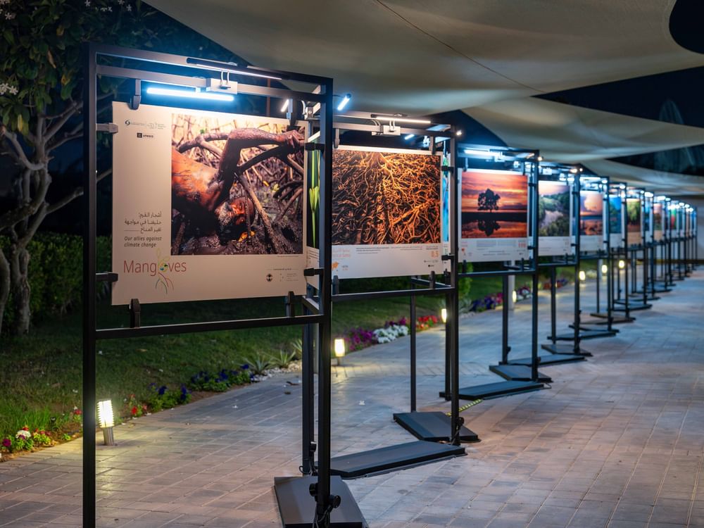 EAD organises international mangrove photography exhibition