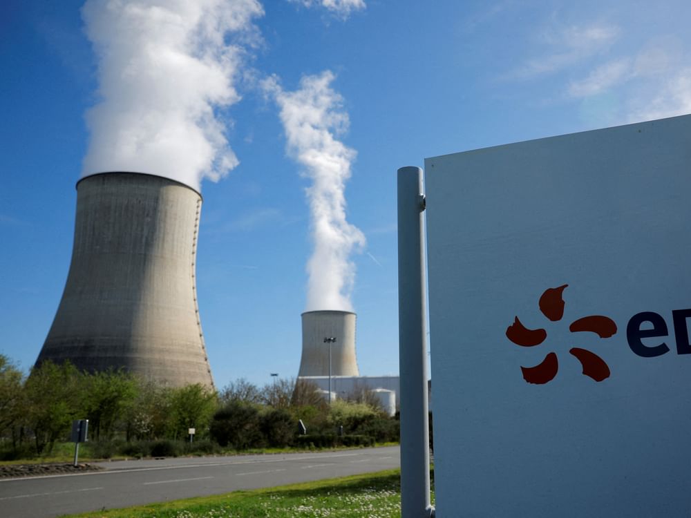 Jellyfish swarm shuts down French nuclear plant