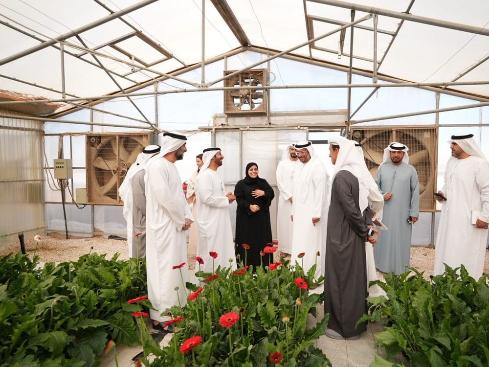 ADAFSA organises farmers’ open day at Al Kuwaitat Research Station