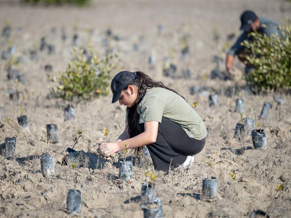 L’EAD et Emirates Nature-WWF lancent une stratégie quinquennale de science participative
