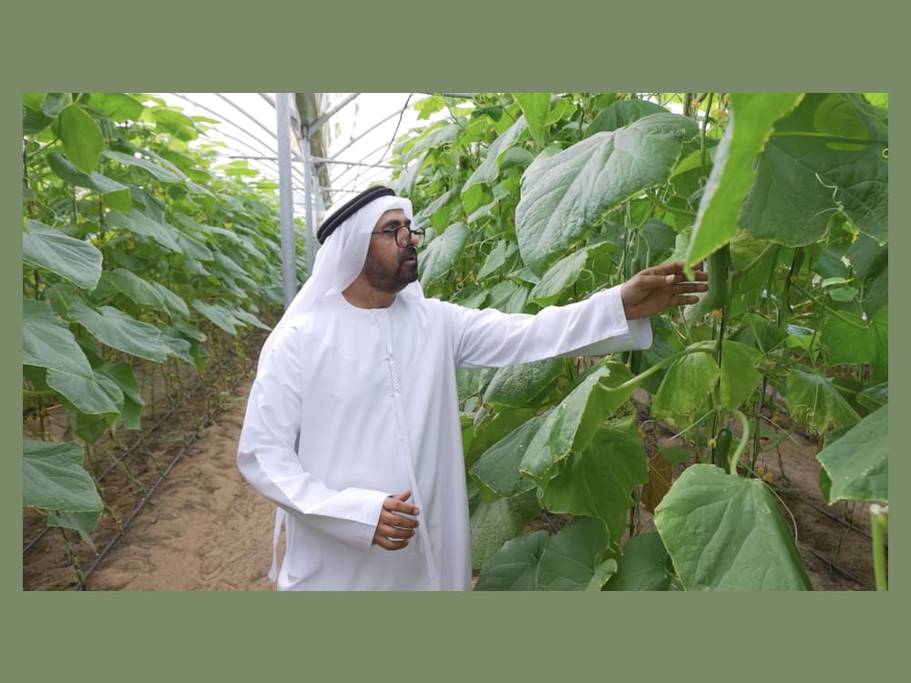 Silal, National Agricultural Centre join forces to empower UAE farmers, enhance food security