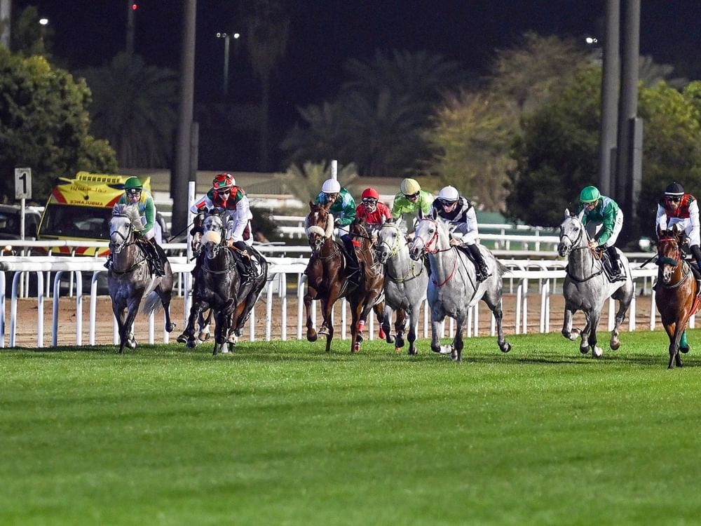 غداً .. نخبة الخيول العربية تتنافس في سباق الإمارات على مضمار أبوظبي للفروسية