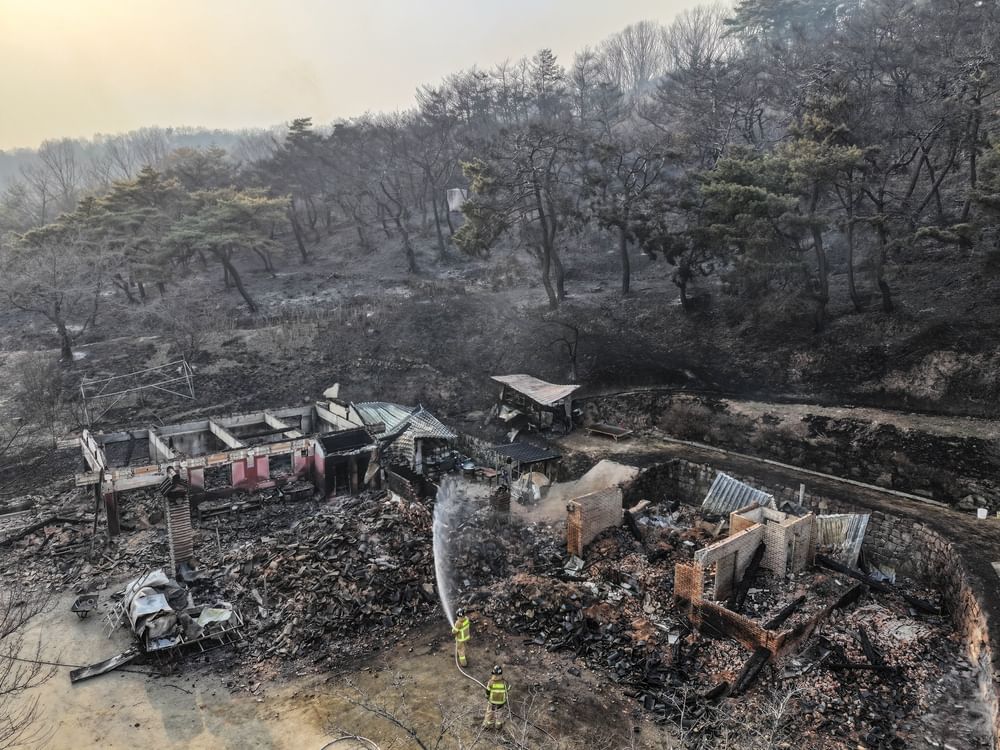 Korea battles multiple wildfires in southeastern region