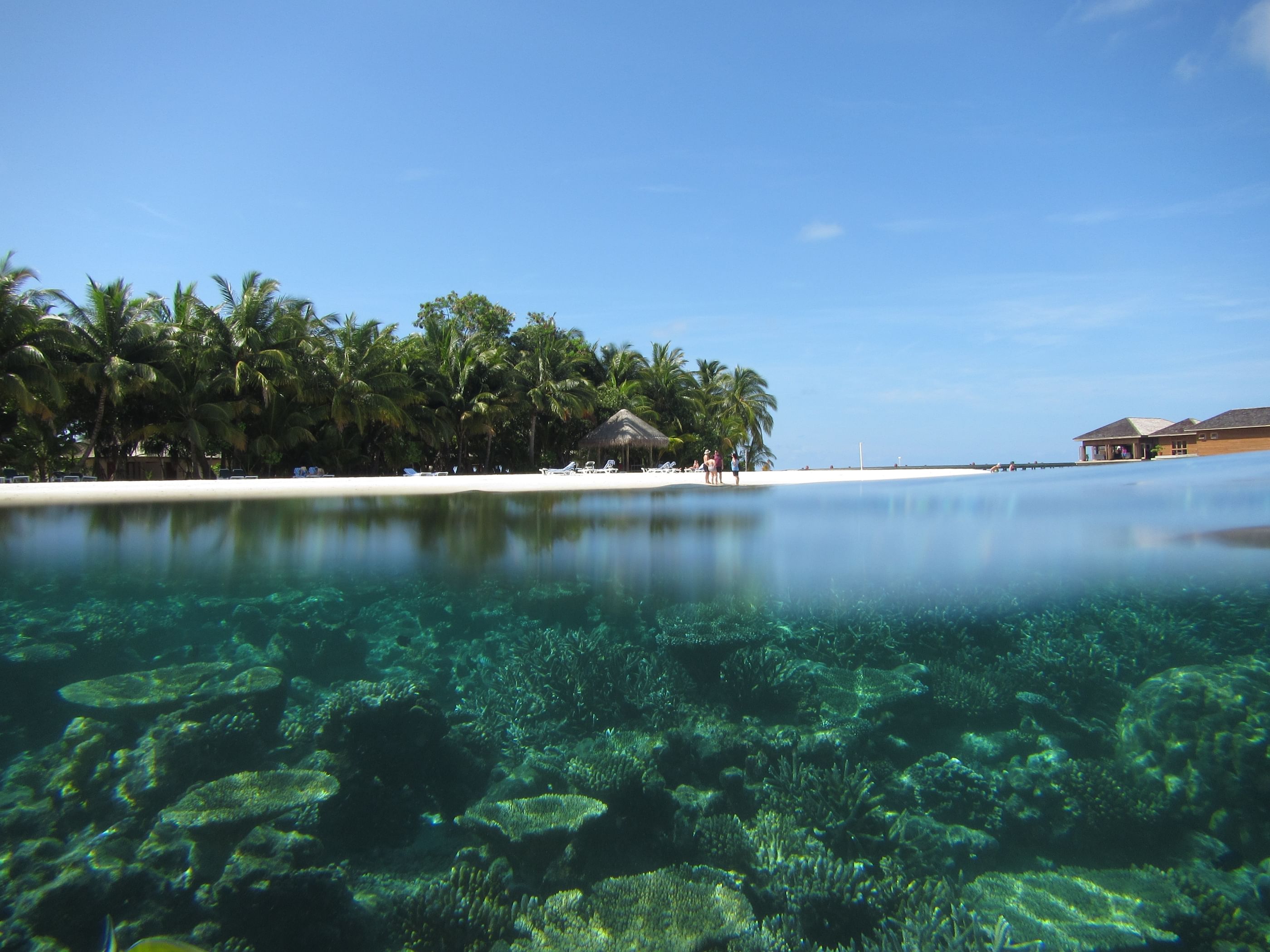 Five Italians die in Maldives diving incident