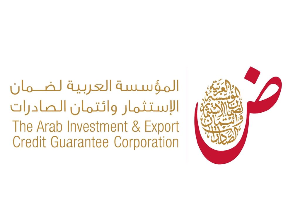 Arab GDP projected to hit $4 trillion in 2026: Dhaman
