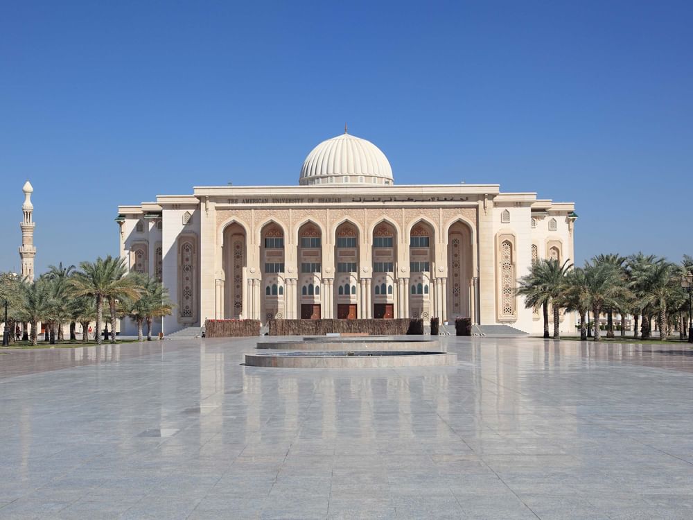 AUS professor named UAE champion in global science prize