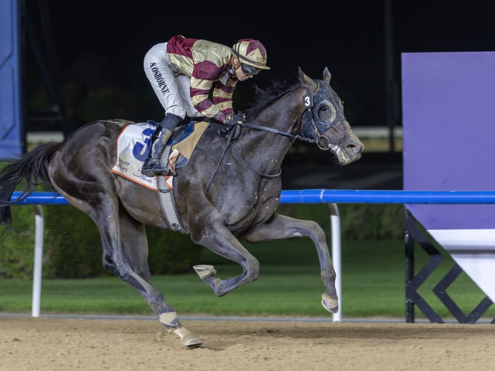 Brotherly Love, Labwah, grab Kentucky points, Al Nayyir goes for gold