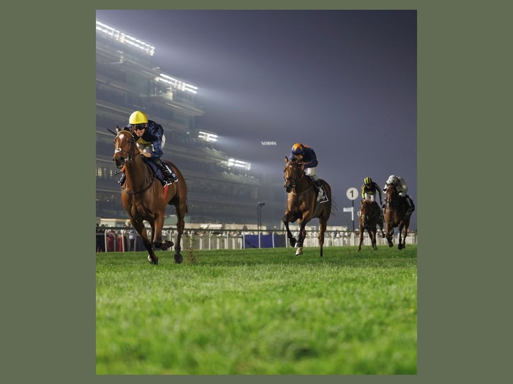 Over 70 horses compete in Friday’s opening card of Dubai Racing Carnival