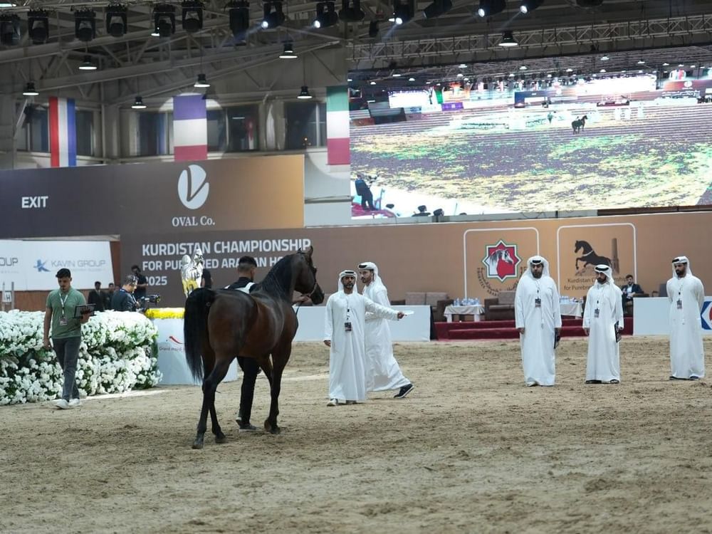 بتنظيم جمعية الإمارات للخيول العربية / نجاح بطولة كردستان لجمال الخيل