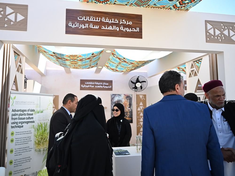 مشاركات محلية وعربية واسعة في مهرجان التمور المصرية بسيوة