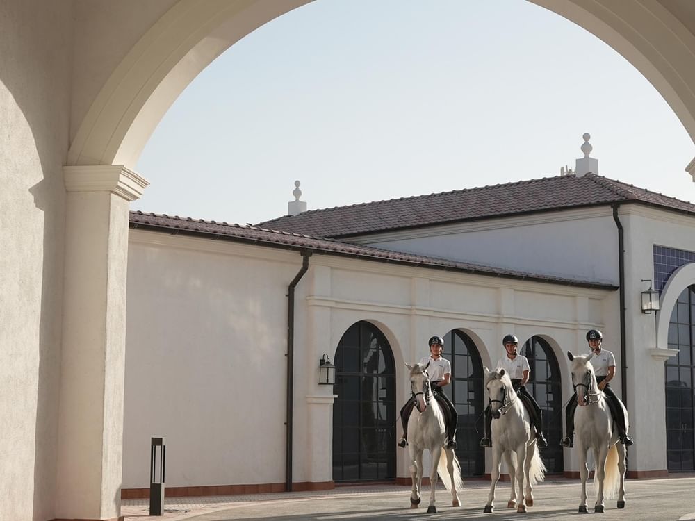 La escuela Abu Dhabi Royal Equestrian Arts abrirá en noviembre de 2025