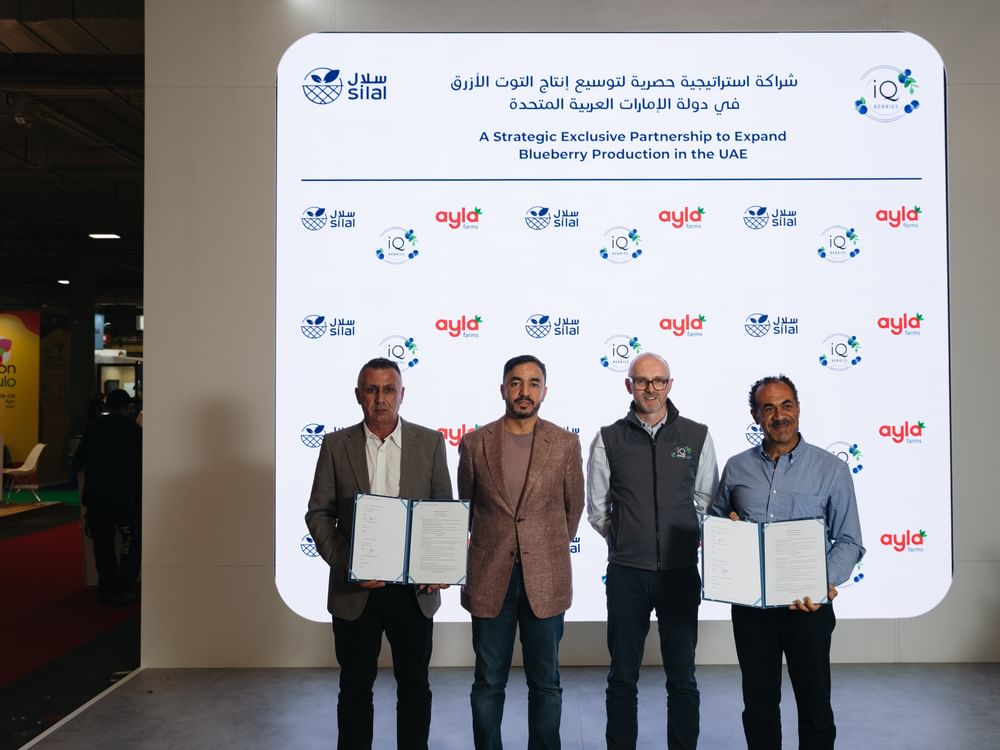 "سلال" و"آي كيو بيريز" تتعاونان للتوسع في إنتاج التوت الأزرق بالدولة