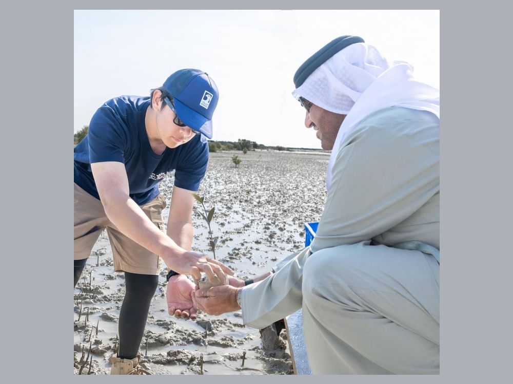 "أدنوك" تحقق أكثر من نصف هدفها بزراعة 10 ملايين شجرة قرم بحلول 2030