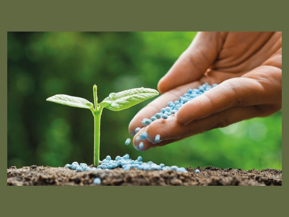 Khalifa University researchers achieve breakthrough in soil improvement