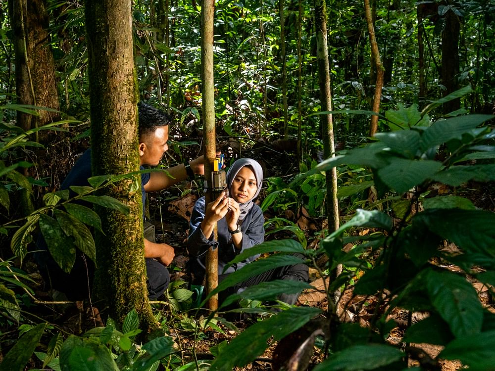 Mohamed bin Zayed Species Conservation Fund, Global Environment Facility to empower young conservationists