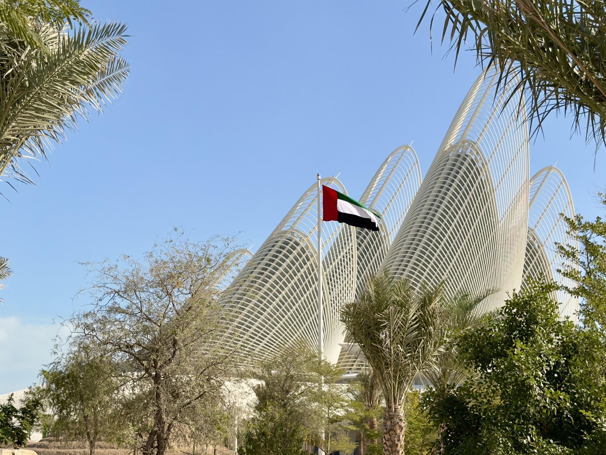 Discover Abu Dhabi Festival to take place in Moscow