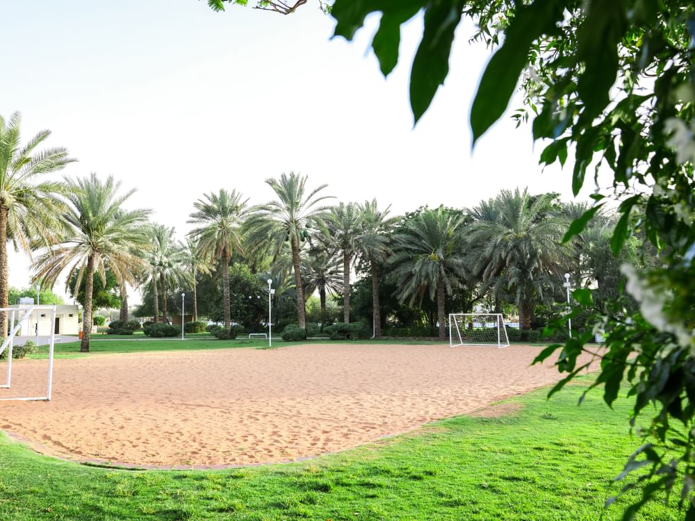 279 حديقة عامة وسكنية تعزز رفاه المجتمع في مدينة العين