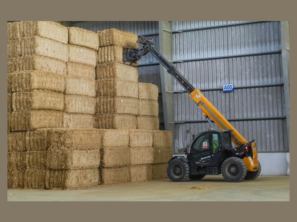 'Fodder Market' sees significant demand from Abu Dhabi's livestock breeders