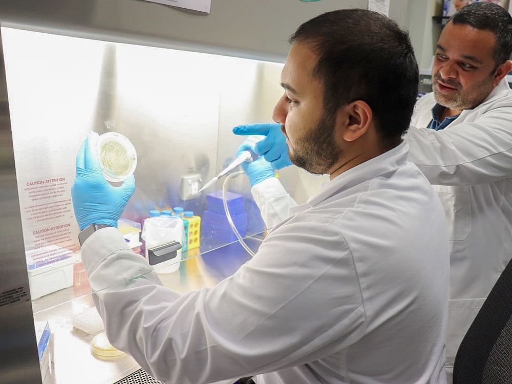 NYU Abu Dhabi researchers reveal on association between mouth bacteria, obesity, metabolic health