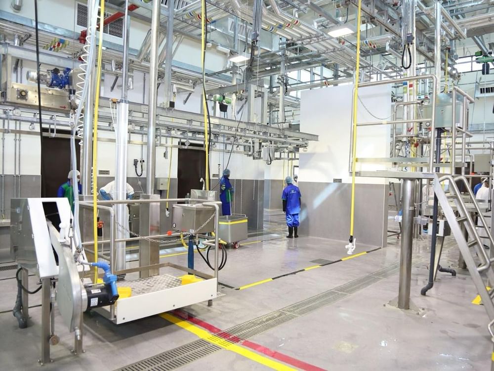 بلدية مدينة العين تعزز منظومة الصحة العامة خلال 2025 