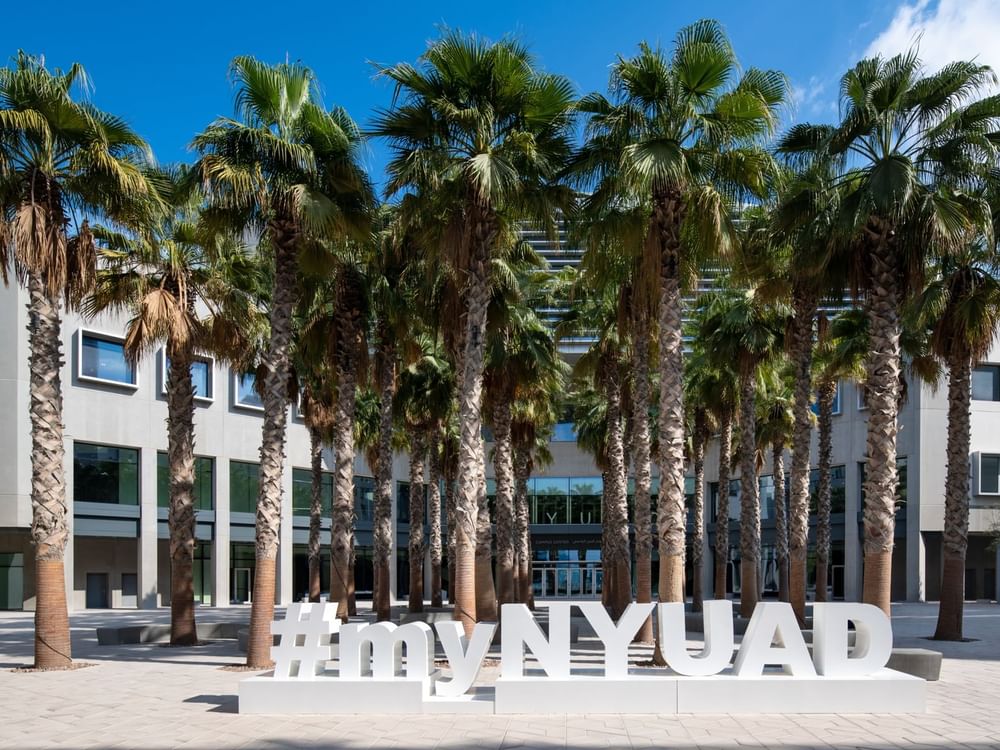 NYU Abu Dhabi scholars named Google PhD Fellows for 2025