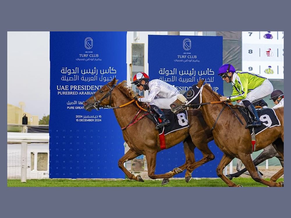 32nd edition of UAE President Cup for Purebred Arabian Horses commences tomorrow in Abu Dhabi