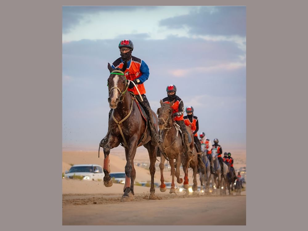 سباق "الإسطبلات الخاصة" يفتتح مهرجان سلطان بن زايد للقدرة 