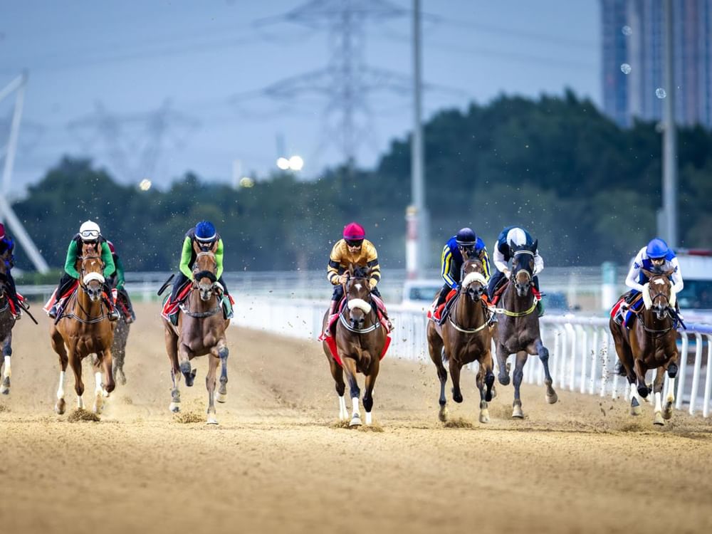 45 خيلا تشارك في السباق التجريبي التاسع بمضمار ميدان