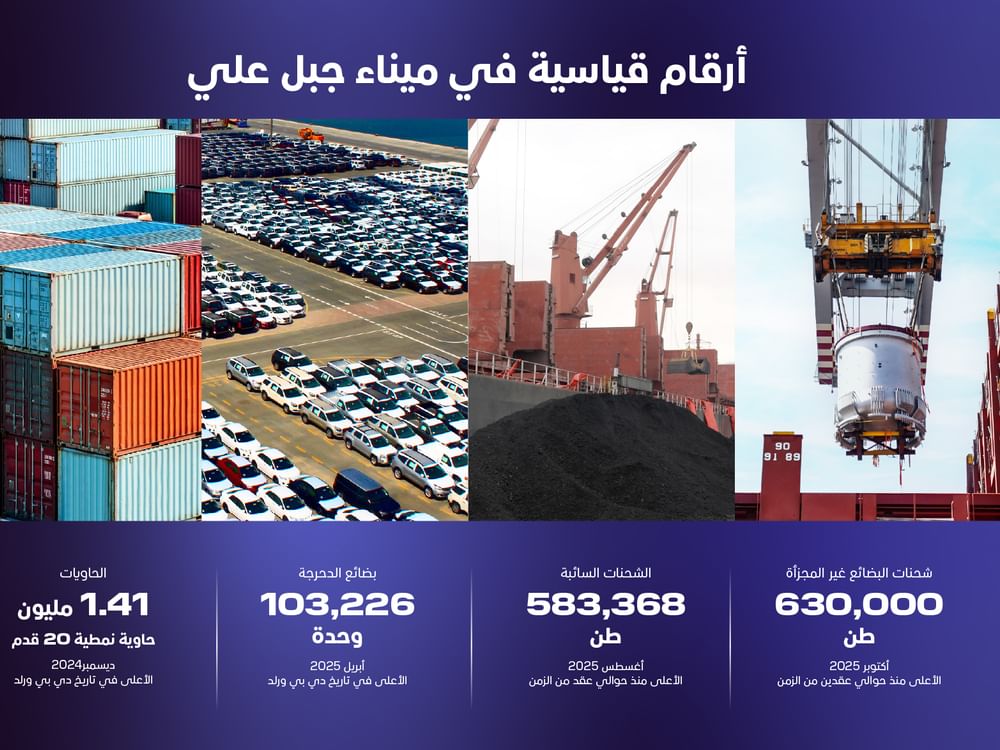 ميناء جبل علي يسجل رقما قياسيا في الشحنات السائبة بـ 630 ألف طن خلال أكتوبر