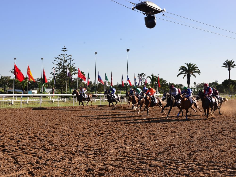 Sete cavalos disputam o título da Copa do Presidente dos EAU no Marrocos