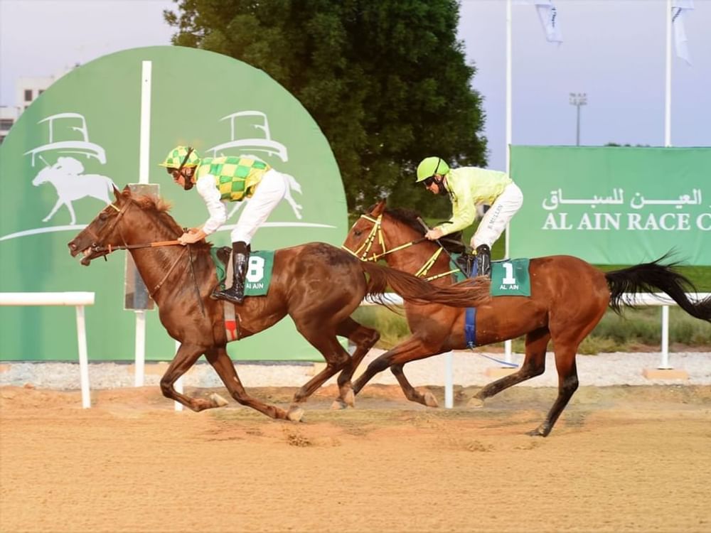 "العين للفروسية" يستضيف السباق الثامن للخيول العربية 