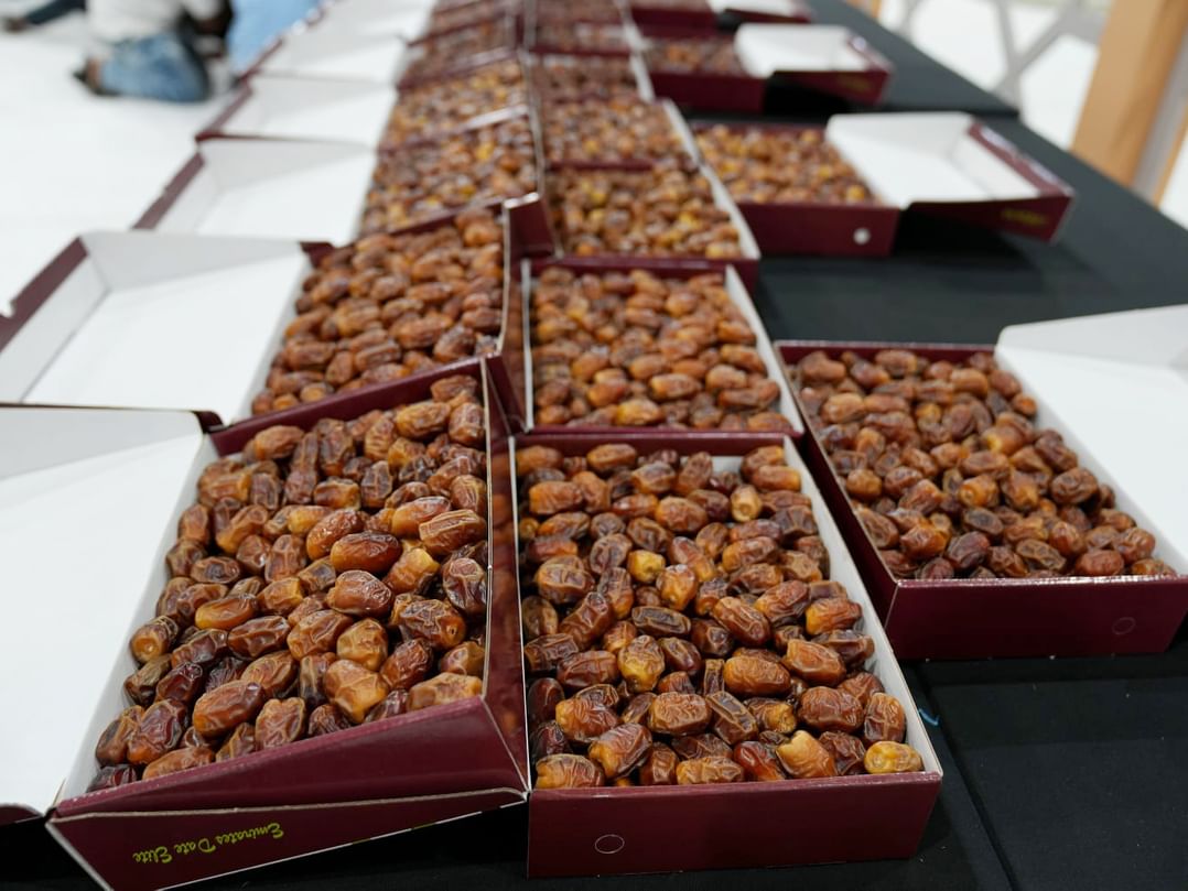 Al Dhafra Dates Festival & Auction to launch on 17 October in Madinat Zayed