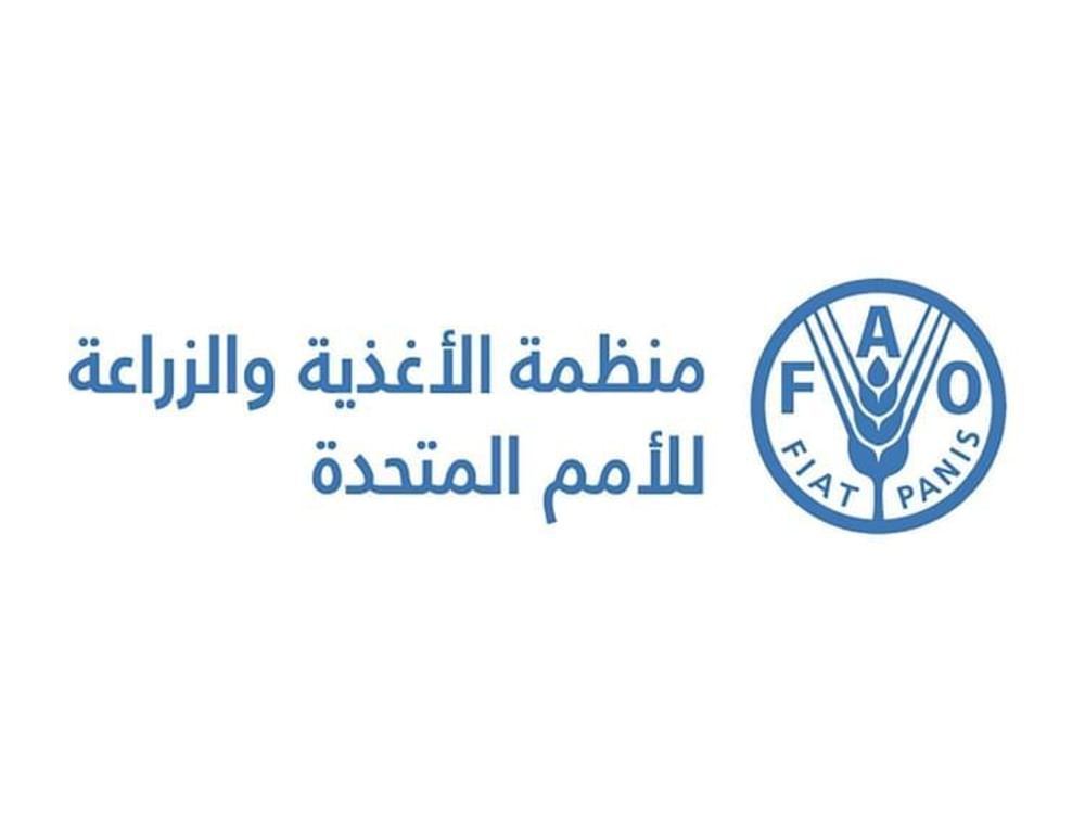 "فاو": أقل من 5 % من الأراضى الزراعية فى قطاع غزة لاتزال متاحة للزراعة