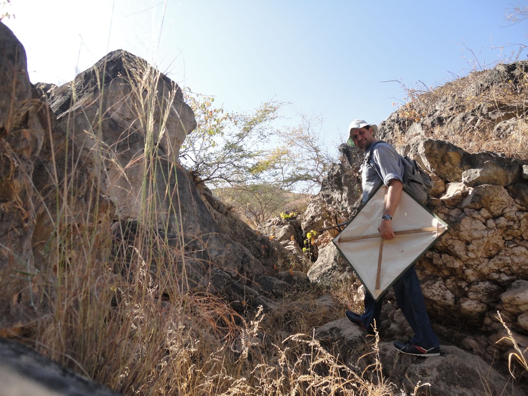 L’EPAA découvre quatre nouvelles espèces d’araignées dans les montagnes des Émirats arabes unis