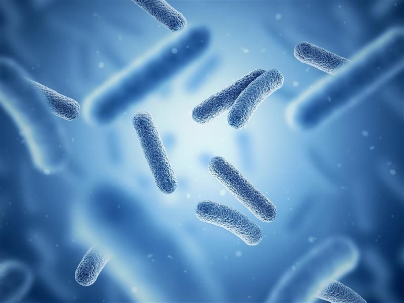 دبي تستضيف ندوة طبية حول "ثورة الميكروبيوم 2026" فبراير المقبل