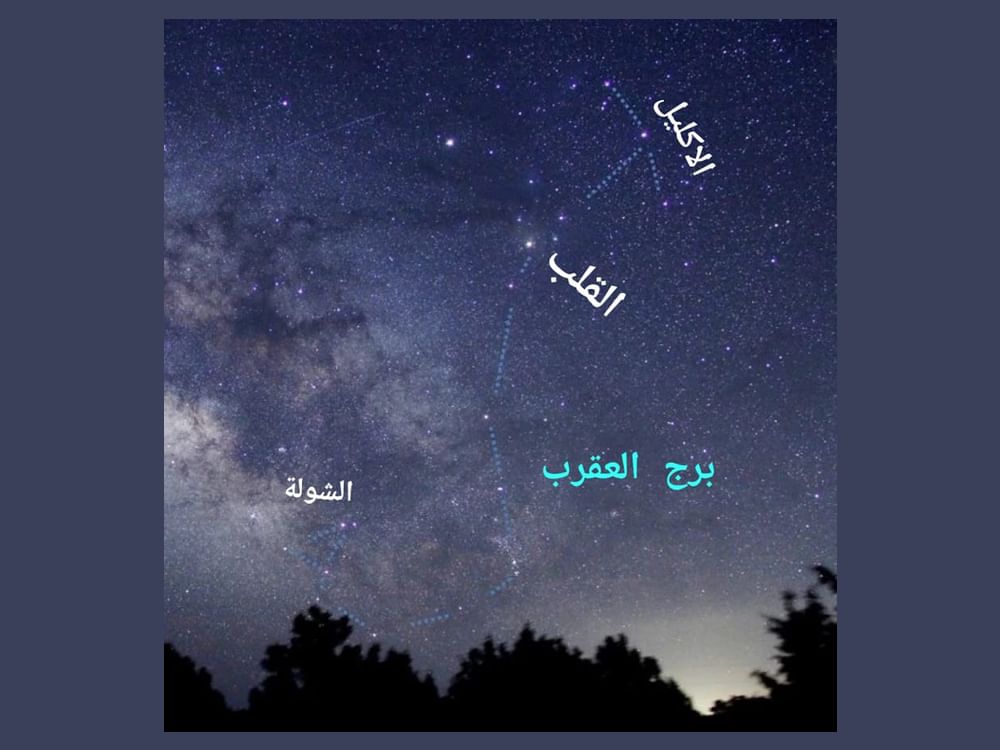 "الإمارات للفلك ": الأربعين العقربي يبدأ 6 فبراير