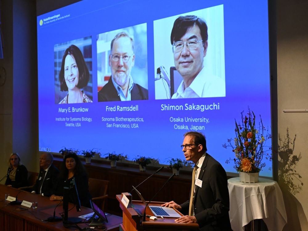 三名科学家获2025年诺贝尔生理学或医学奖