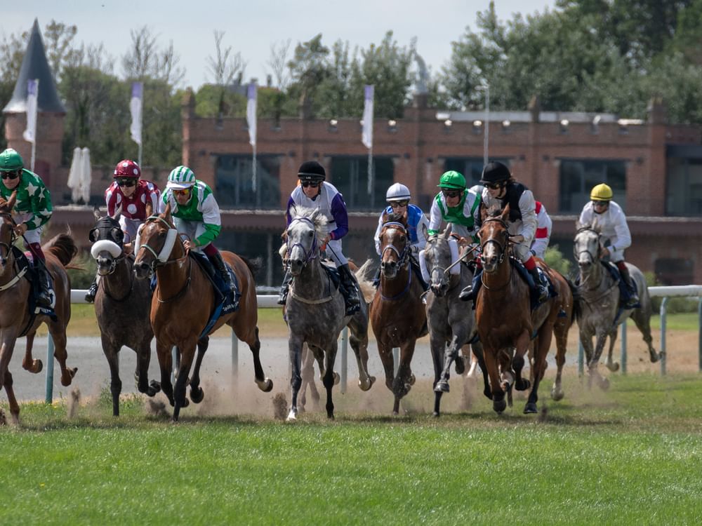 Campeões se reúnem na etapa da Bélgica da Copa do Presidente dos Emirados para Cavalos Árabes Puro-Sangue
