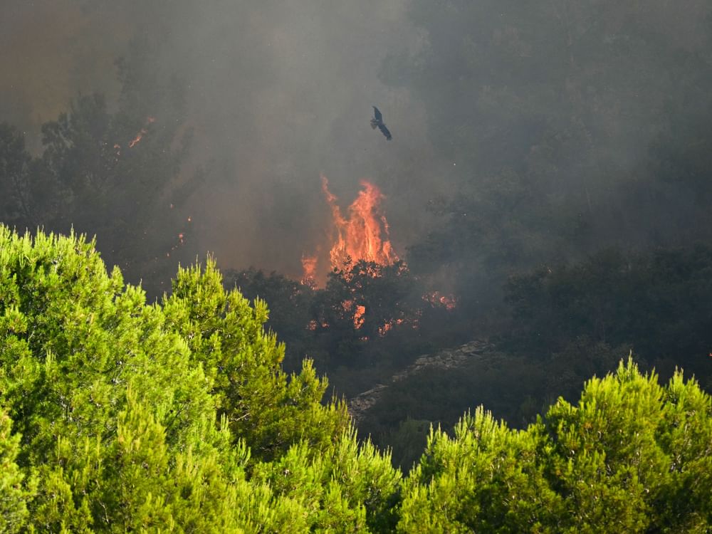 Wildfire forces evacuations in southern France
