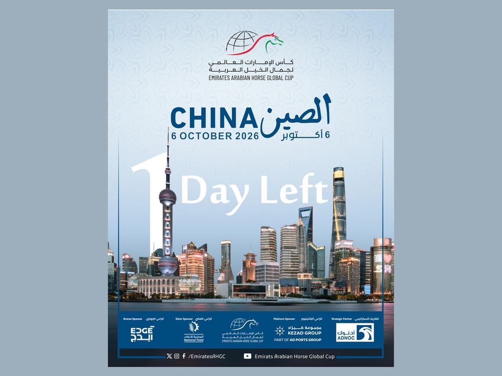 81 horses to compete in fifth EAHGC leg in Shanghai