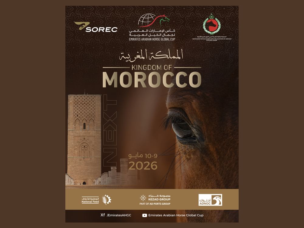 Marrocos recebe terceira etapa da Copa Global Emirates de Cavalos Árabes; última fase será no Brasil em novembro