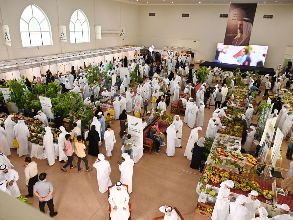 Khorfakkan Mango Festival concludes on high note