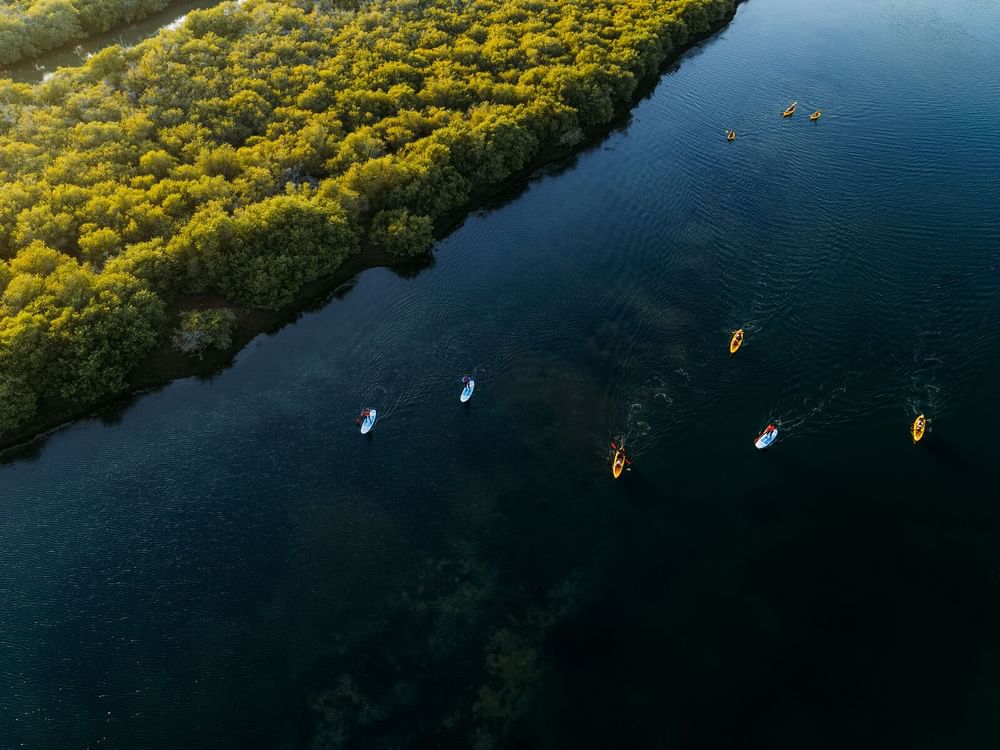 الشارقة تستعرض تراثها الثقافي وأحدث وجهاتها السياحية في سوق السفر العالمي 2025 بلندن