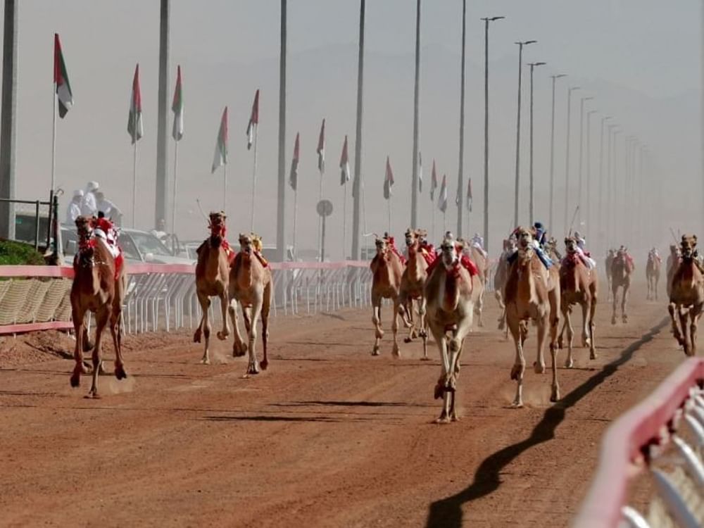 الرياضات التراثية.. ركيزة للهوية الوطنية وجسر للتواصل الحضاري في الإمارات