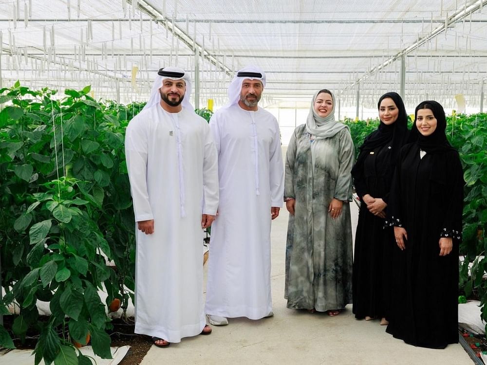 Sustainable Impact Challenge promotes culture of innovation