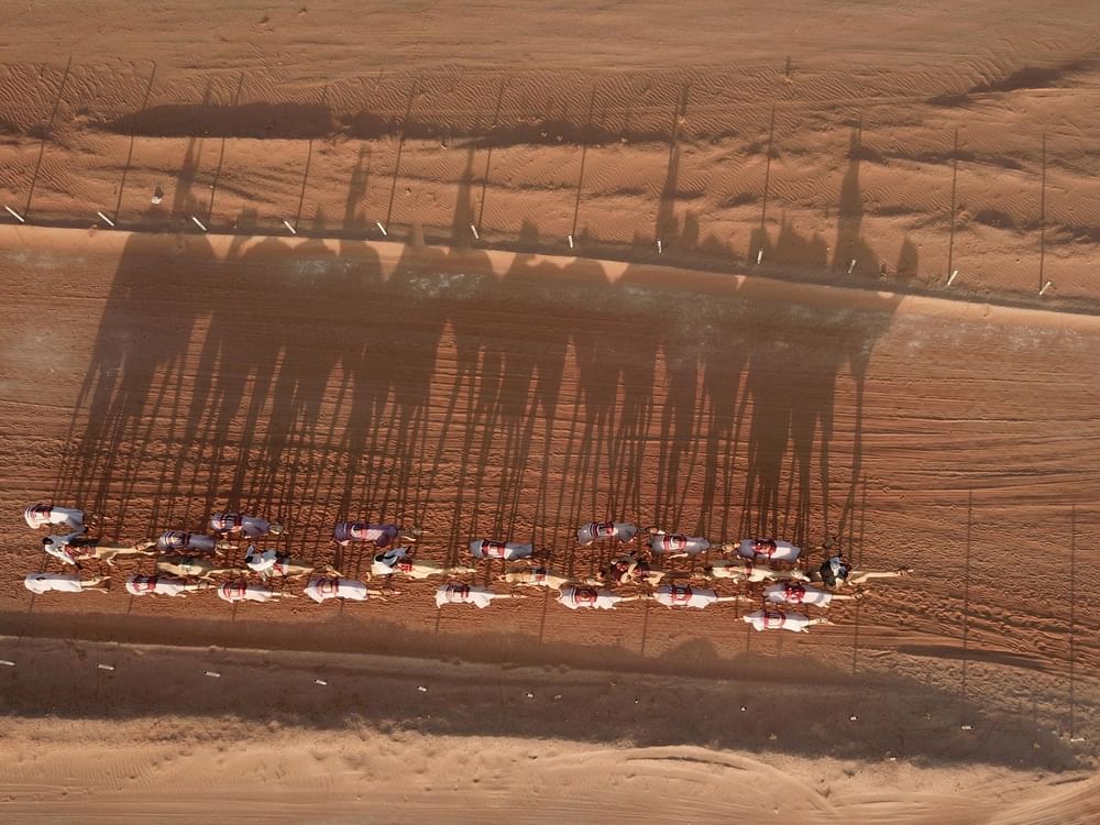 انطلاق أولى محطات مهرجان الظفرة الـ 20 في مدينة سويحان غدا