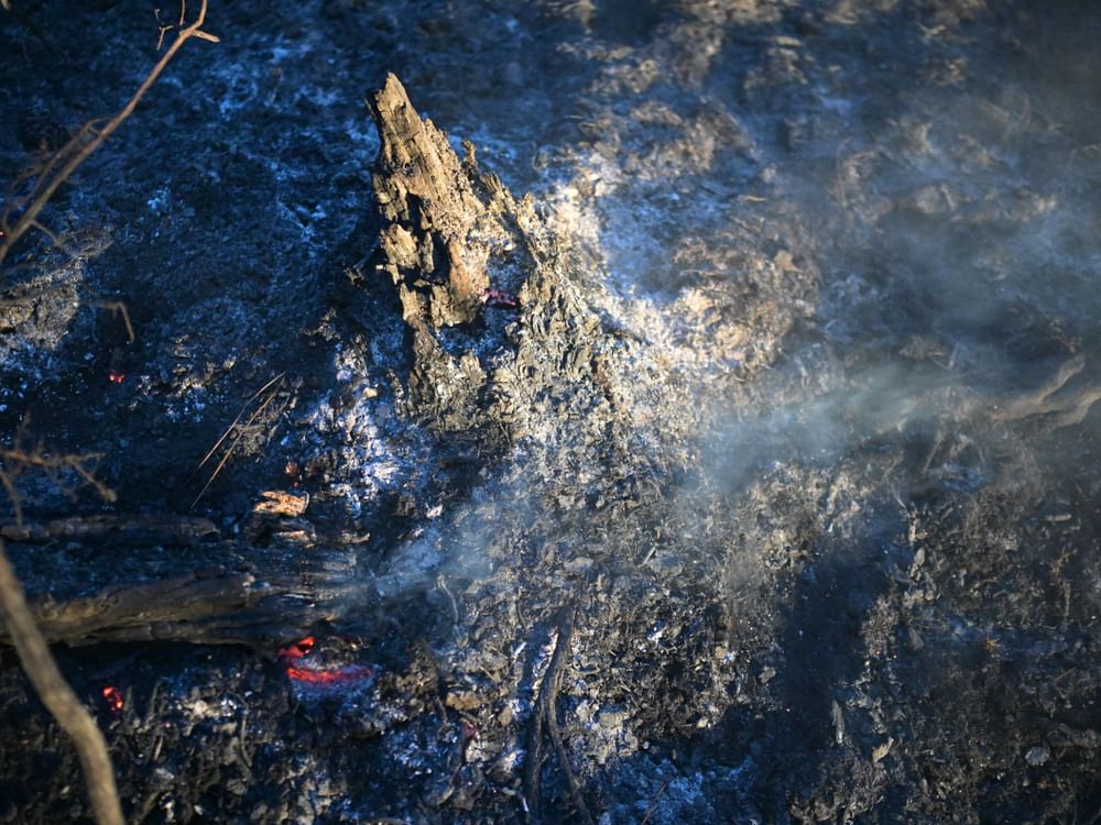 Hundreds of firefighters battling wildfire in southern France