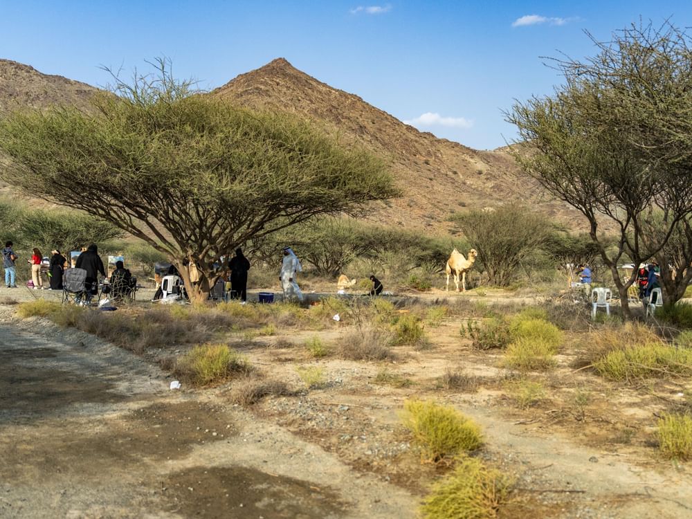 برعاية محمد الشرقي.. الفجيرة تستضيف إقامة فنيّة لتدريب 20 فنانا إماراتيا 