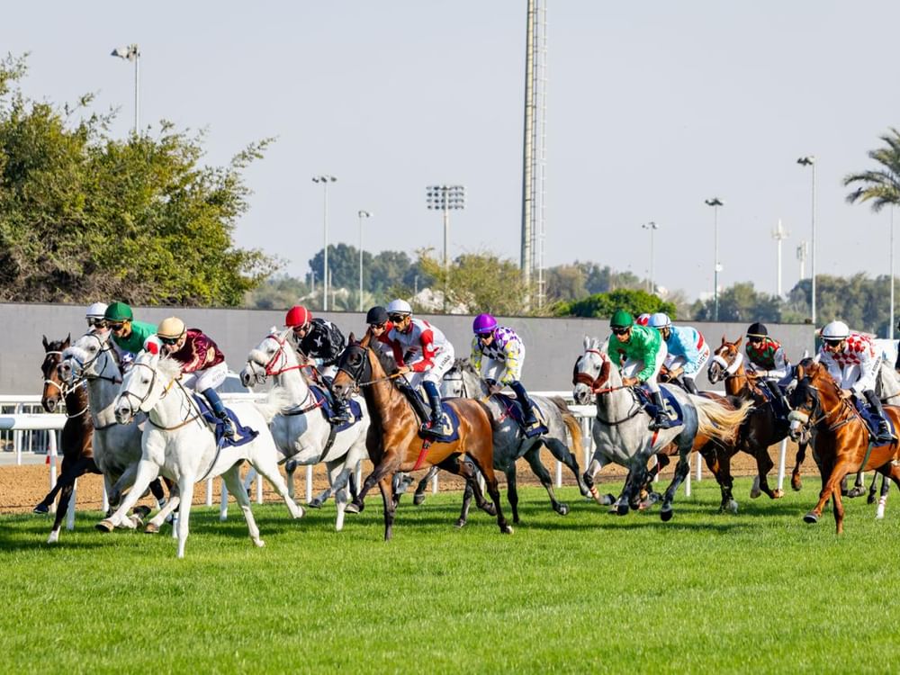 "مضمار أبوظبي" يفتتح "الموسم الوطني" لسباقات الخيل غدا